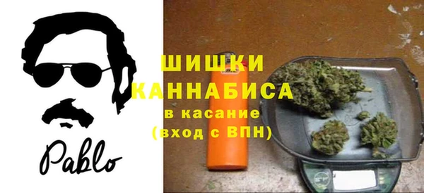 ГАЛЛЮЦИНОГЕННЫЕ ГРИБЫ Липки