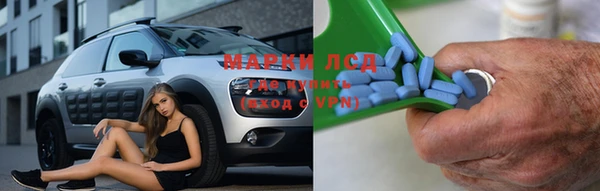 индика Лиски