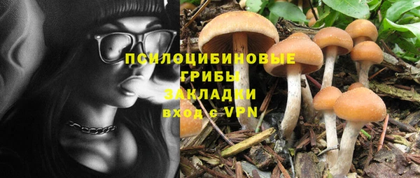 хмурый Краснослободск