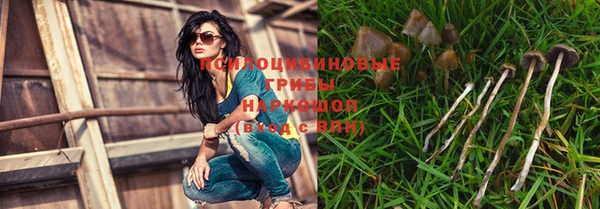 индика Лиски