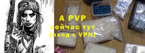 твердый Лагань