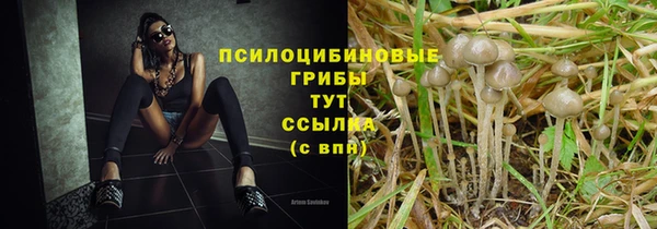 ГАЛЛЮЦИНОГЕННЫЕ ГРИБЫ Липки