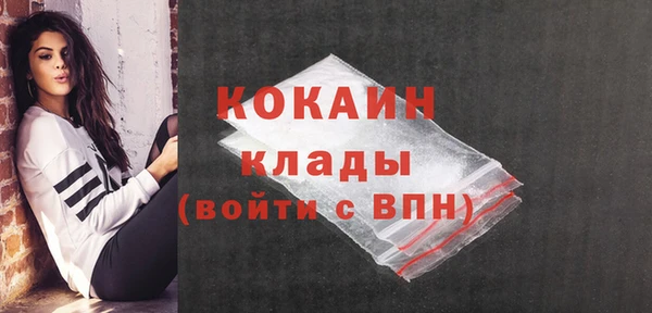 твердый Лагань