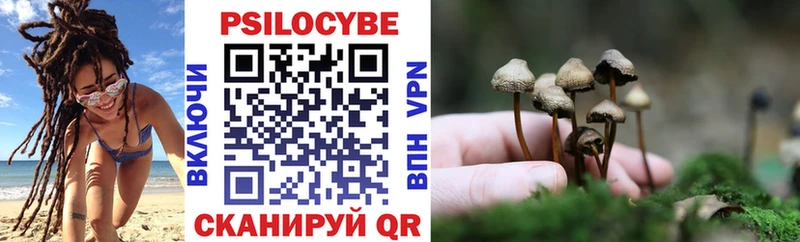 Псилоцибиновые грибы ЛСД  Брюховецкая 